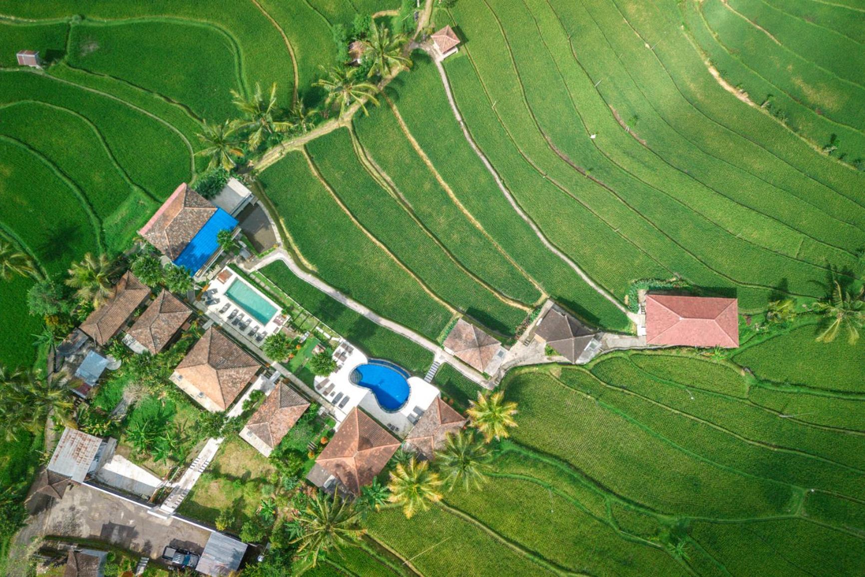 Villa Sande Munduk Esterno foto