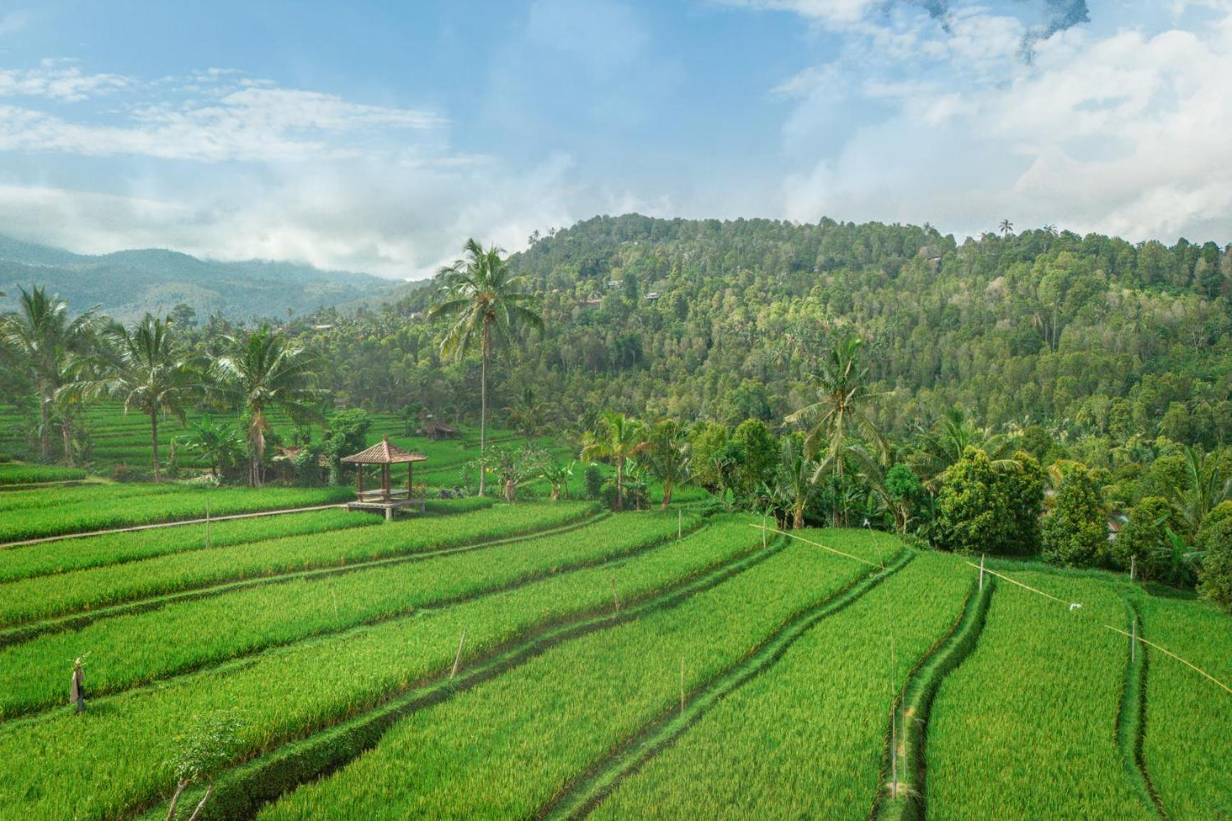 Villa Sande Munduk Esterno foto