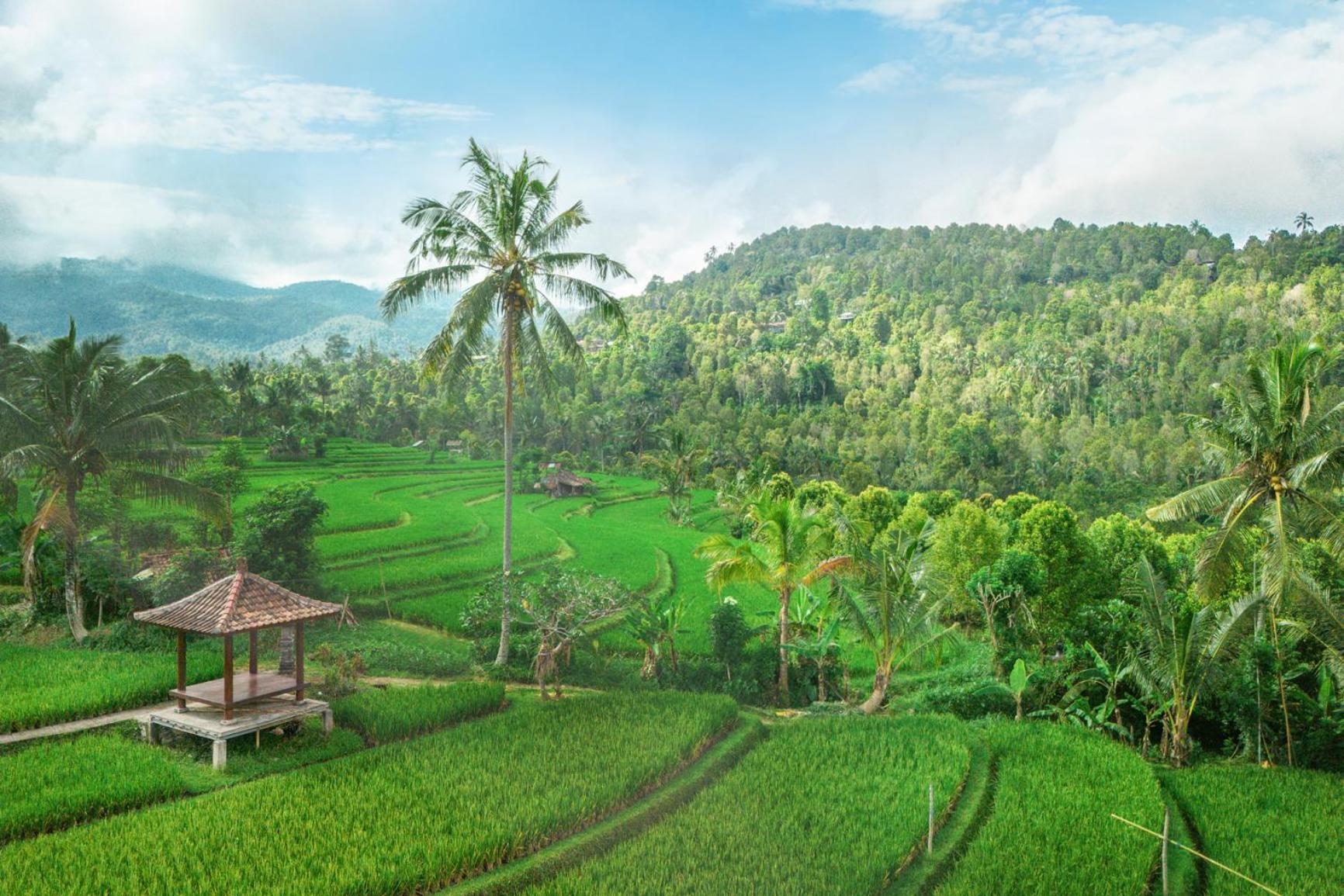 Villa Sande Munduk Esterno foto