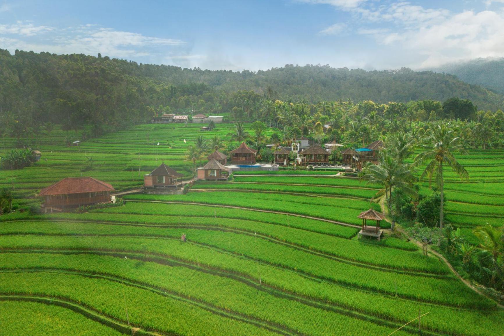 Villa Sande Munduk Esterno foto